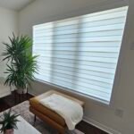 zebra blinds