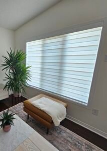 zebra blinds