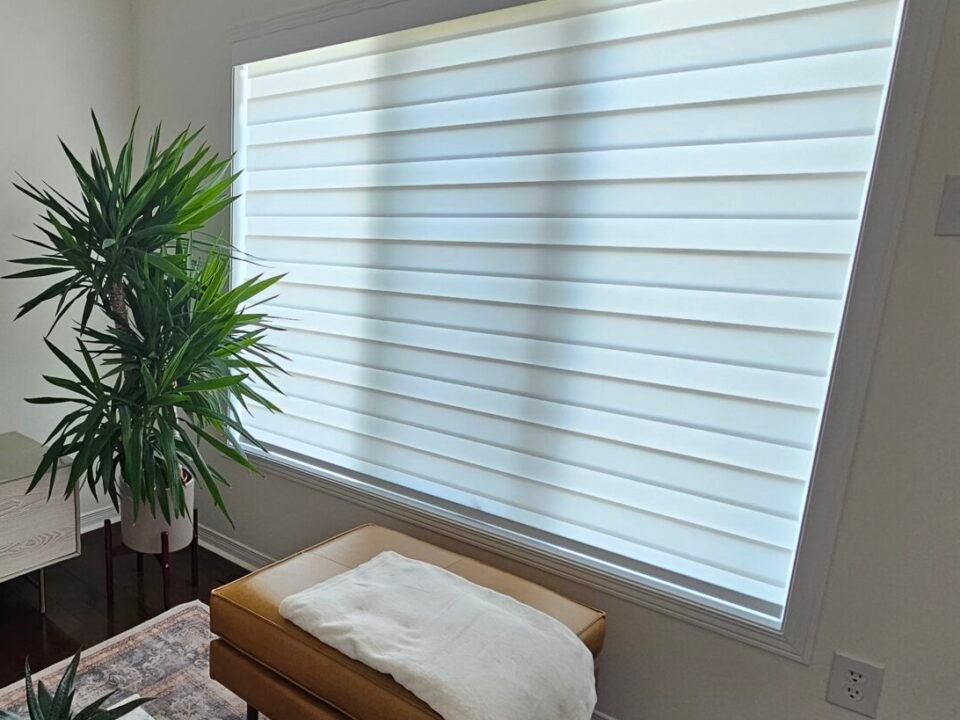 zebra blinds