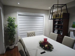 Zebra blinds in mississauga